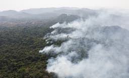 Ecosystems are more protected, but threatened by climate ...