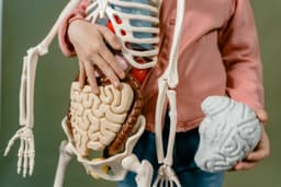 Body Adventures: Discovering Anatomy for Kids! | Events