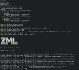 @syhw reposted: .@zml_ai now runs llama on @tenstorrent (slow, but it runs) https://t.co/ZWfAvc5...