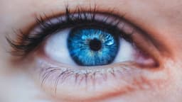 FDA Recalls Nearly 12M Cartons of Eye Drops