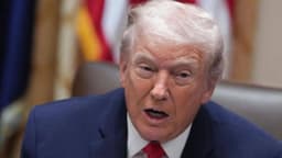 Trump fires final two US election commissioners ahead ...