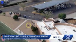Bear sighting prompts shelter-in-place orders at two Santa ...