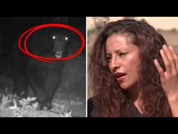 Giant bear attacks family farm at night, then something charges out of the bushes