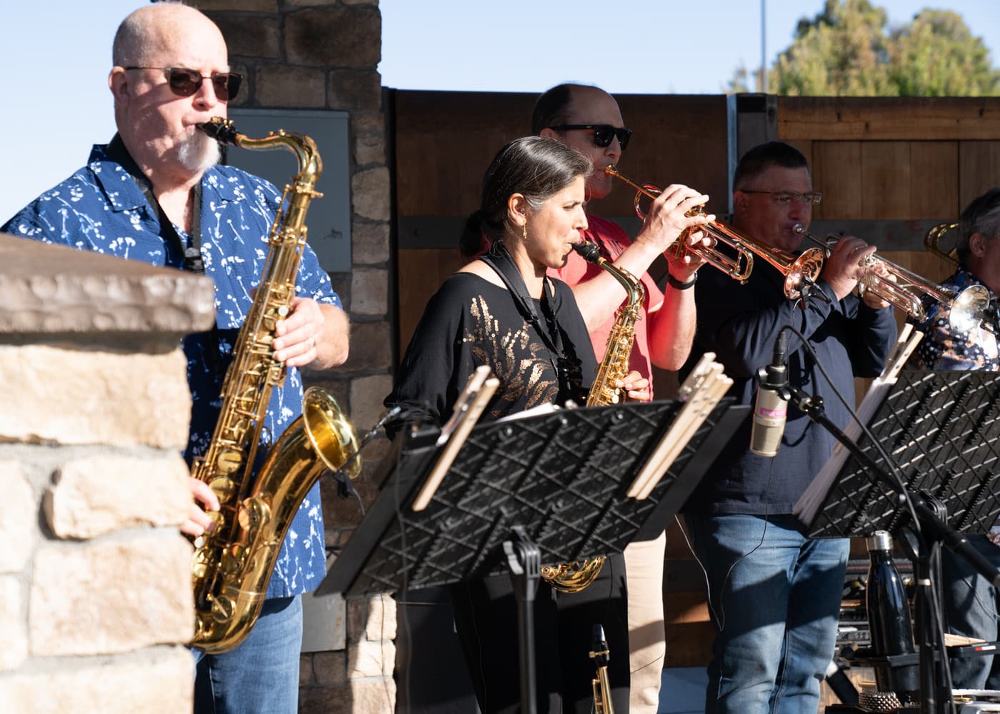 San Carlos Music in the Park | SF Peninsula Calendar