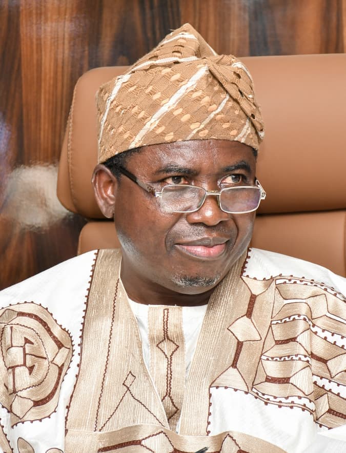 INEC's planned systems audit and mock poll