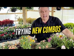 5 Interesting Deck Rail Planter Combos for Sun