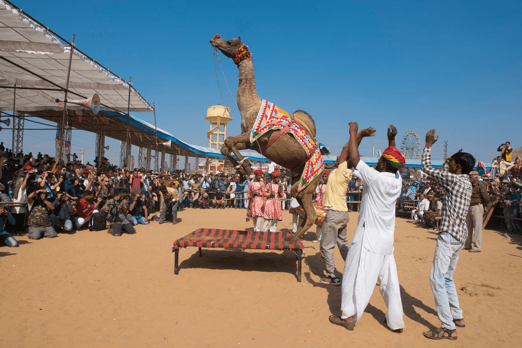 Pushkar Fair 2026: Complete Travel Guide, Dates, Events ...