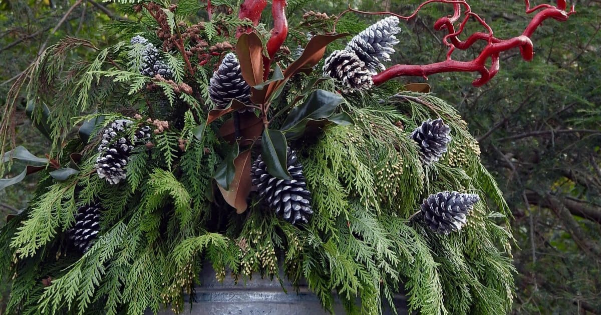 Seasonal Holiday Planter Workshop | Longwood Gardens