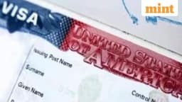 US Senator seeks tighter H-1B hiring practices over concerns ... - Mint