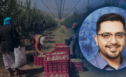 Farmworkers in the U.S. face increased systemic violence ...