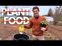 Why We Don’t Feed Our Plants (We feed the soil)