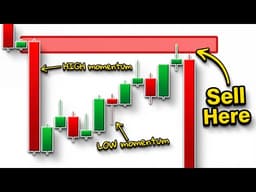 FOLLOW the MOMENTUM (Momentum Trading Explained)