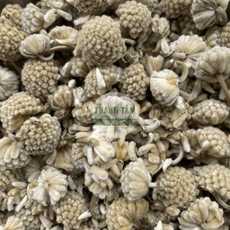 Buddleja Flower | Traditional Herbal Medicines | Thanh Tam Herbs