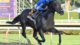 NTRA Poll: Sovereignty, Forever Young Tied By First-Place ...