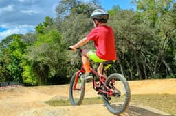 The Central Florida Outdoors Guide: Parks, Trails, Springs, and Campgrounds