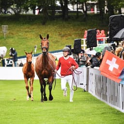 A Global Market Analysis: Horse Breeding and Sales