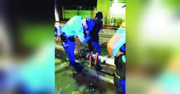 Bacolod files theft complaint over stolen metal railings - Panay News