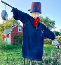 It's Time to Build a Scarecrow
