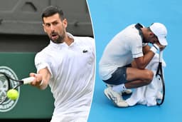 Inside Novak Djokovic's scary health struggles that caused ...