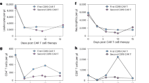 Influence of B cell-lineage targeted CAR-T cell therapy on humoral immunity and vaccine-induced antibody response | Nature Communications