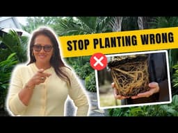 The Right Way to Plant Plants (Step by Step Guide)