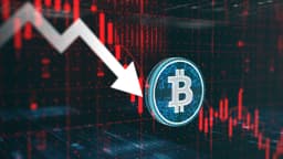 Whale's Insight: Bitcoin Spot Volume Hits A 7-Year Low, A Late-Stage Bear? (BTC-USD) | Seeking Alpha