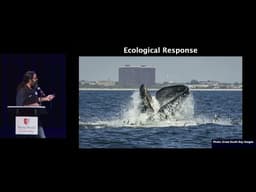 Where are the bunker? The ongoing saga of Atlantic menhaden fishery management.