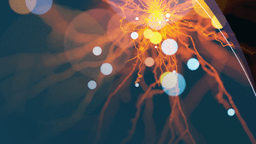 The AI Disruption: A Long-Term Opportunity