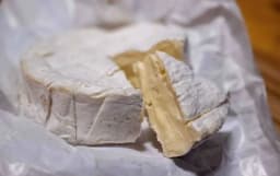 Multiple listeria outbreaks spur recalls and federal probes