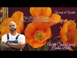 The power or persistence: How I created a Diamond Certified electronics brand.