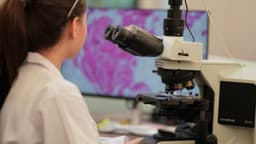 Novo Nordisk and AWS Form Strategic Partnership to Accelerate AI ...