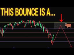 bull trap building this month?