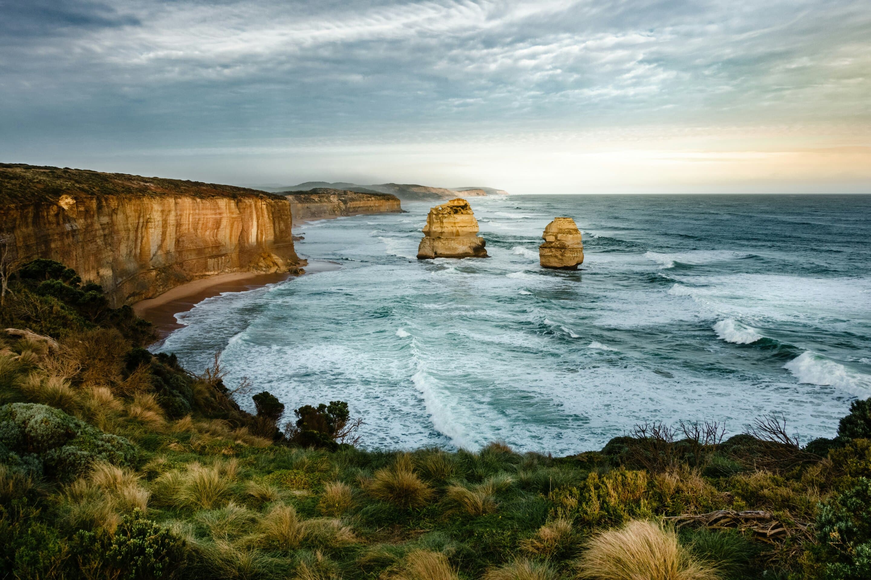 dFADs undermining MPAs