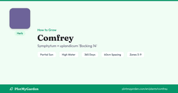 Grow Comfrey: Care, Harvest & Companion Plants