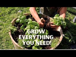 DIY Herb Garden Anyone Can Make | Cheap And Easy