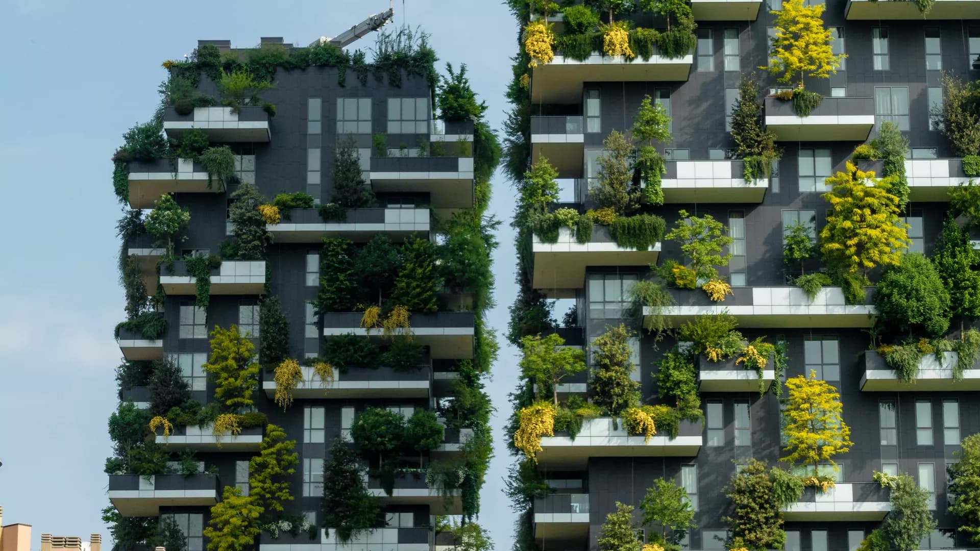 Frontiers | The policy roadmap for achieving carbon-neutral, and green tourist cities under Egypt’s vision 2030: the Sharm El-Sheikh model, South Sinai, Egypt