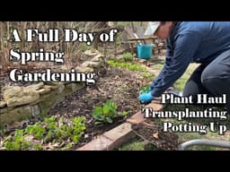 A Full Day of Spring Gardening | Plant Haul, Transplanting & Potting Up