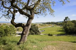 Novato Housing Market Q2 2026: ZIP Report