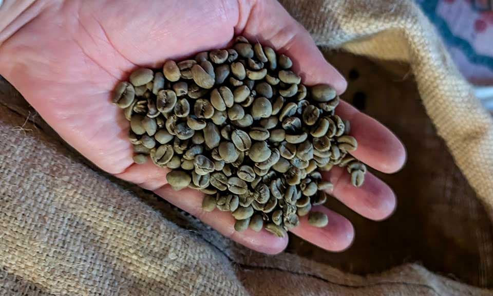 Decaf Coffee and the 4 Main Decaffeination Methods