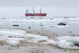 The geopolitics of Greenland's independence