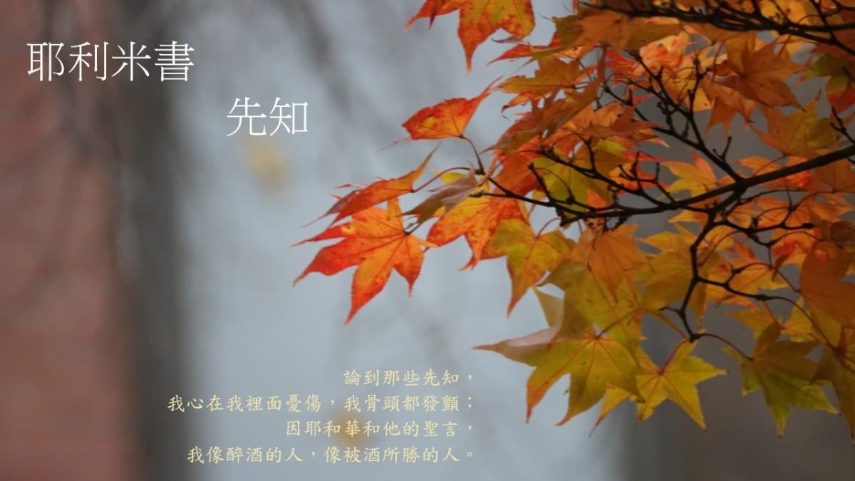 每日靈修20260817:耶利米書-先知 - Peter Koo's Blog
