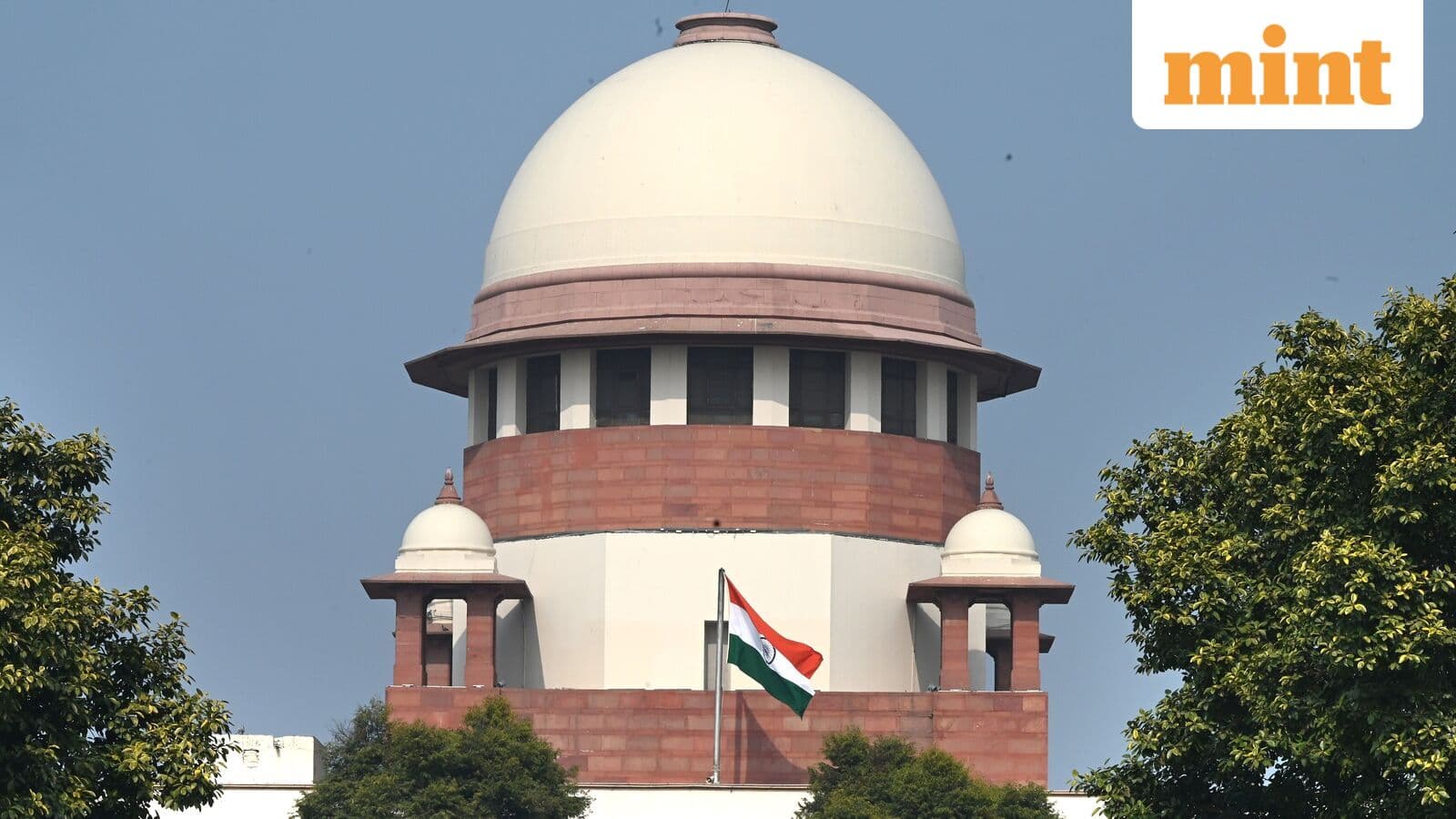 Why the Supreme Court's caution on freebies demands the attention of India’s political class | Mint