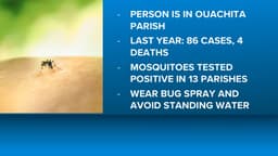 Louisiana records first West Nile virus case in 2026