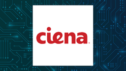Ciena Q2 Earnings Call Highlights