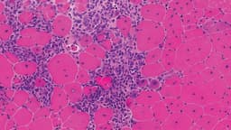 Binghamton University research study advances treatment ...