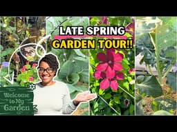 Small Space, BIG Harvest✨: Tour My High-Yield Small Garden Setup! (Containers, Beds & More) #garden