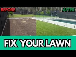 Your Lawn is Too Thick and Spongy? Here's What to Do