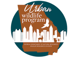 DNR Works To Tackle Georgia's Urban Deer Dilemma