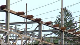 Proposed Powerline Project - FOX8