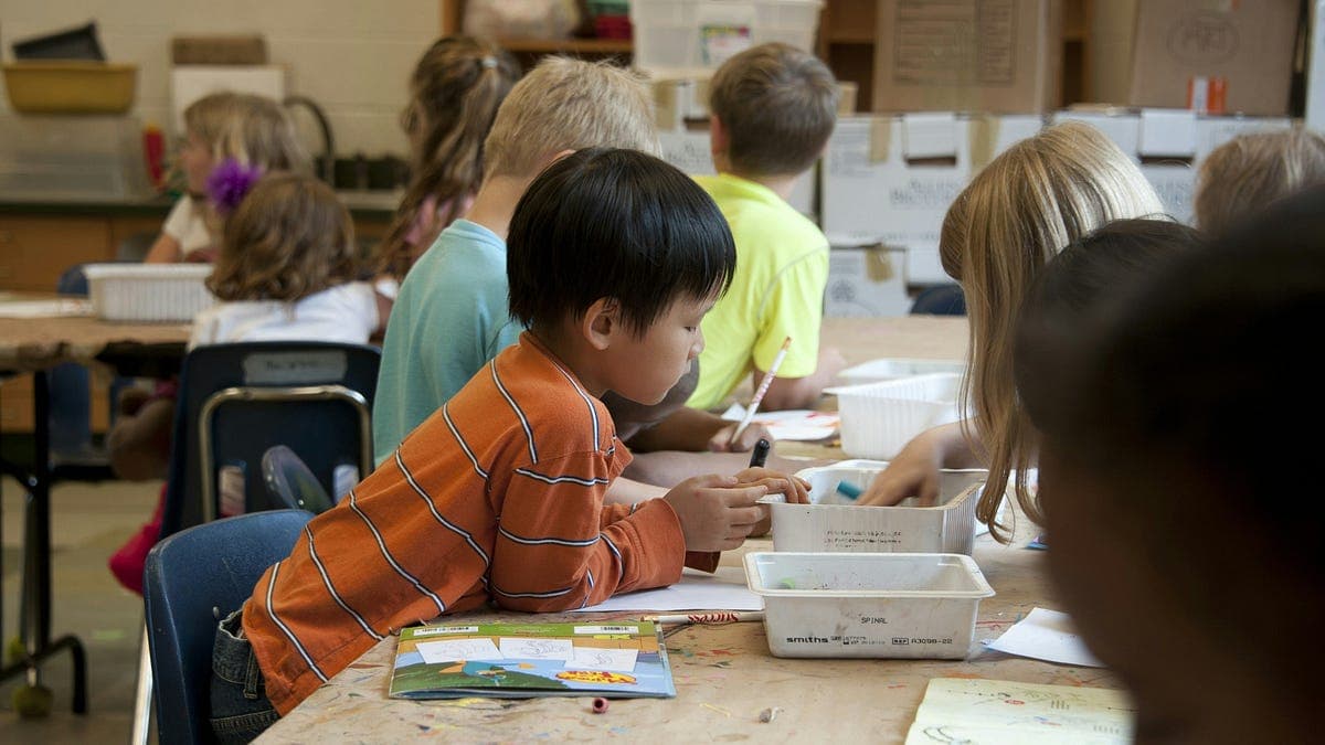 The balancing act that is AI in education - Mint Tech & AI